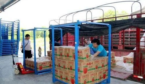永州嘉信冷鏈倉儲物流中心正式開業，助推區域物流體系升級